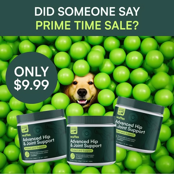 A 1:1 square ad featuring a dog peeking through green ball pit balls, promoting hip and joint support supplements at a $9.99 price point.